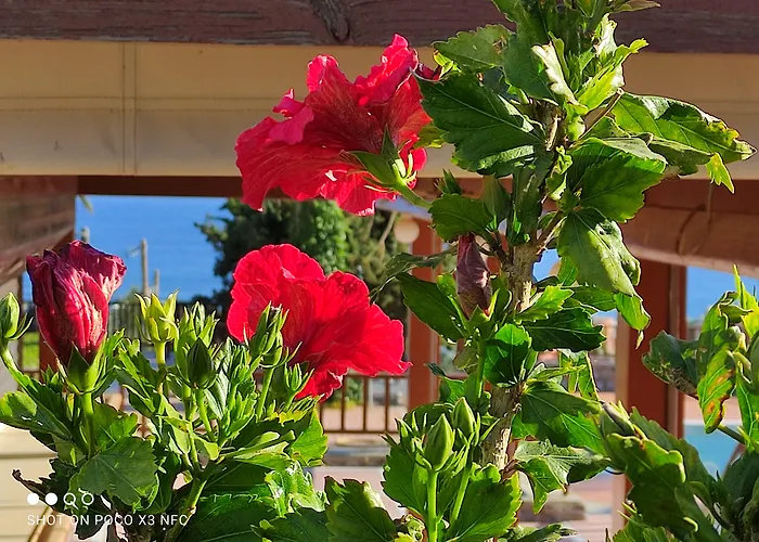 Magia Village Resort